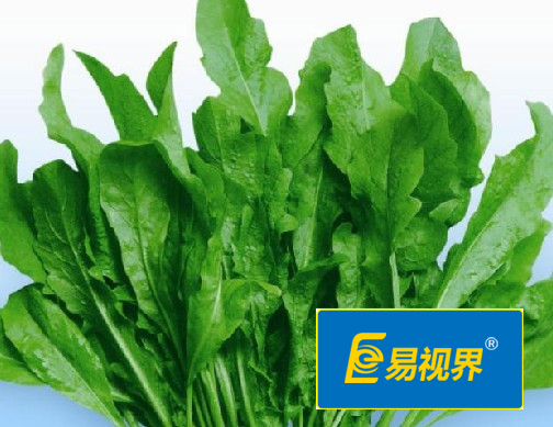 易視界護(hù)眼專家 眼睛干澀吃什么對眼睛好