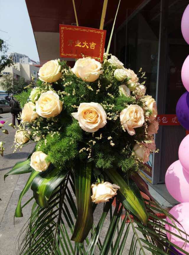 易視界囿山店成功試營(yíng)業(yè)