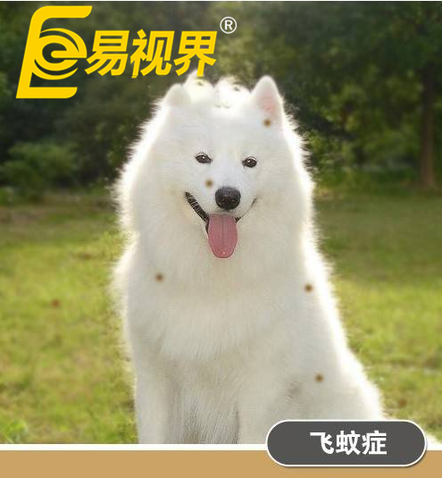 不一樣的眼病，不一樣的世界