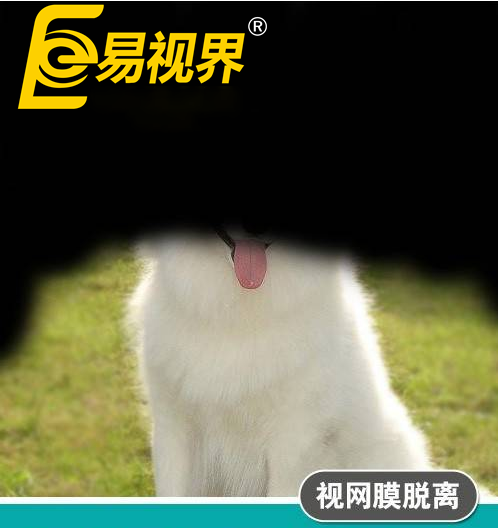 不一樣的眼病，不一
                </div>
                <div   id=